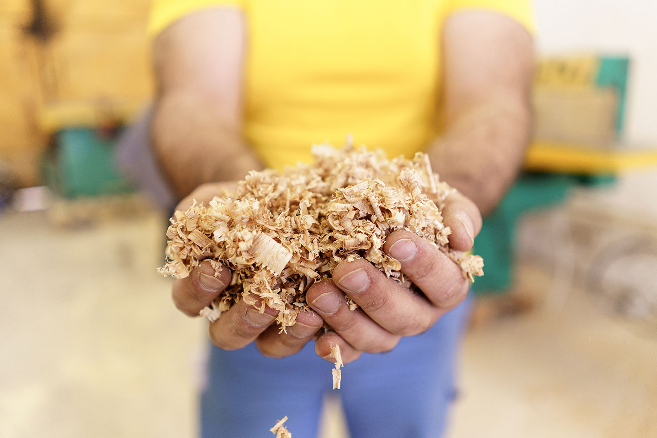 Smaltimento rifiuti legno